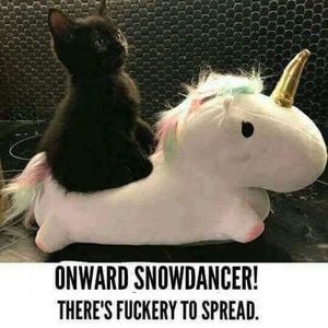 Meet your Posher, Alisha